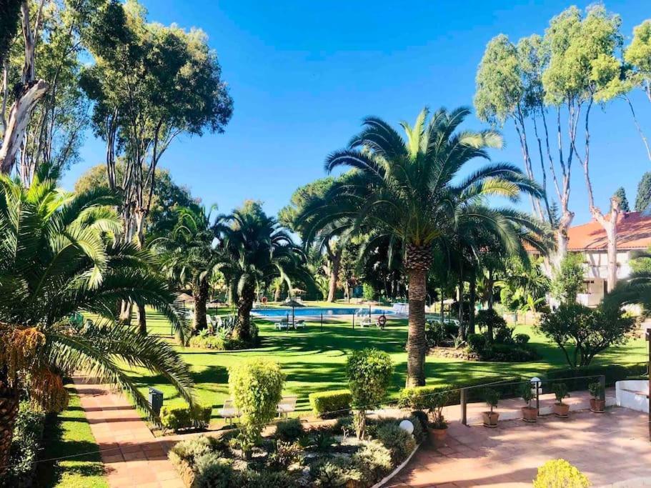 Puerto Banus Eddie Suite Marbella Eksteriør bilde